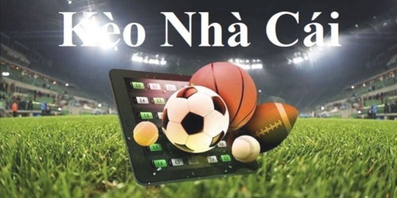 Cập nhật nhà cái uy tín