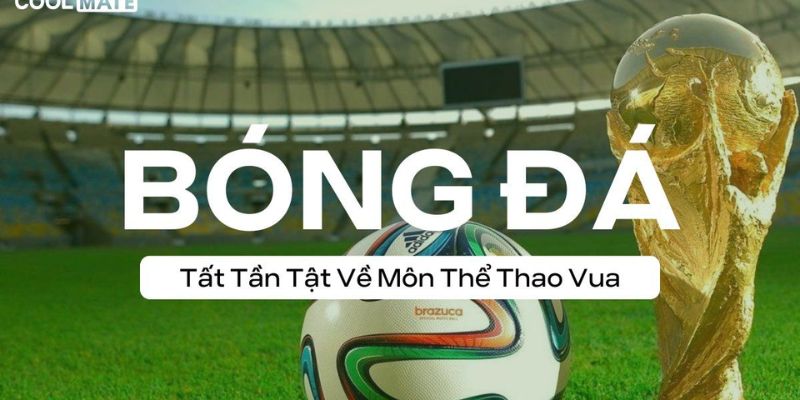 Giới thiệu các tiêu chí đánh giá
