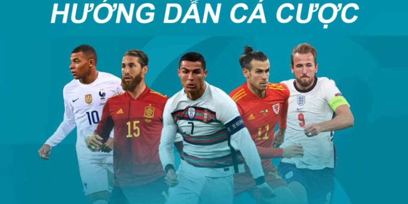 Hướng dẫn cá cược hay
