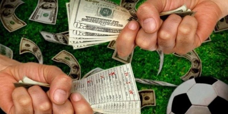 Xử lý hướng dẫn cá cược hay