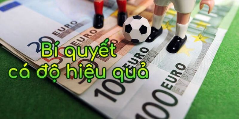 Kinh nghiệm cá cược nhà cái thông minh