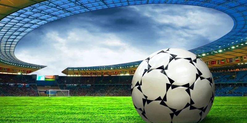 Nhà cái cá cược bóng đá hướng dẫn