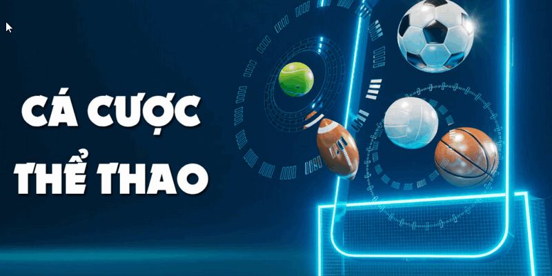 Nhà cái cá cược thể thao