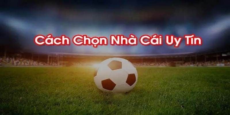 Tiêu chí chọn nhà cái chính sách