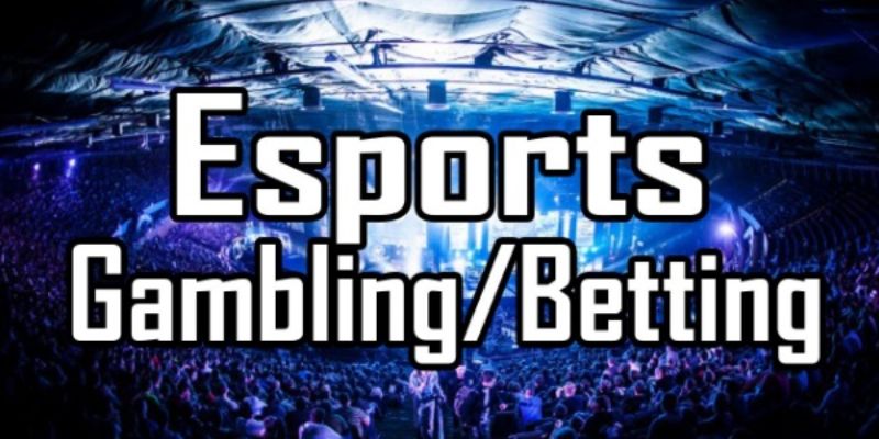 Tin cá cược eSports