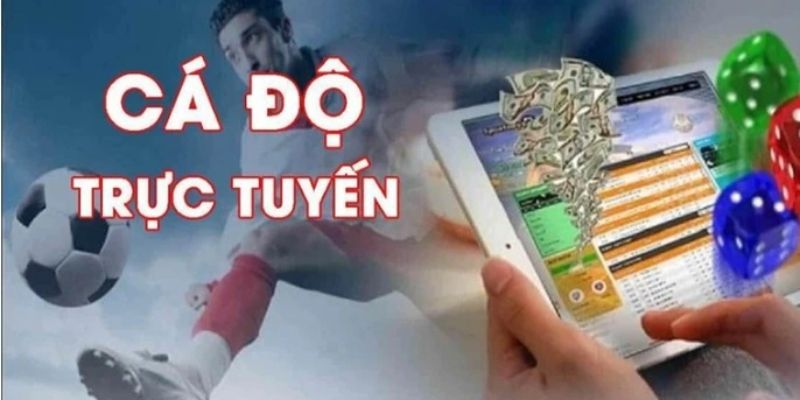 Tin tức cá độ tuyệt vời
